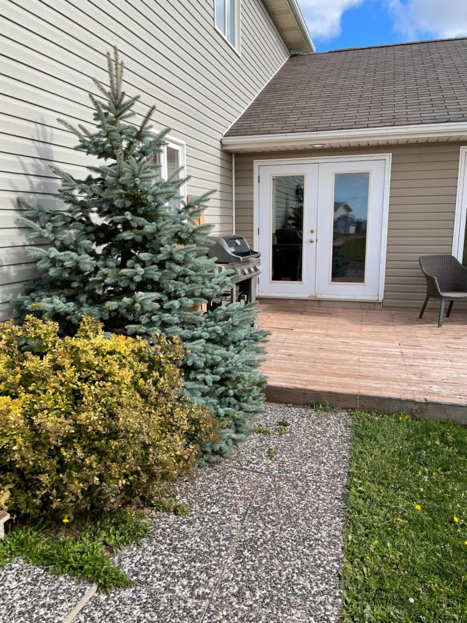 Pei Cottage Rental Borden-Carleton Eksteriør billede